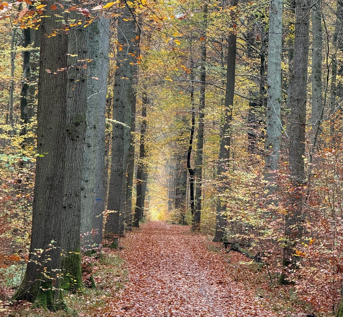 April 2025 - Unexpected change